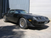 1979 PONTIAC TRANSAM 6.6 AUTO T TOP LHD